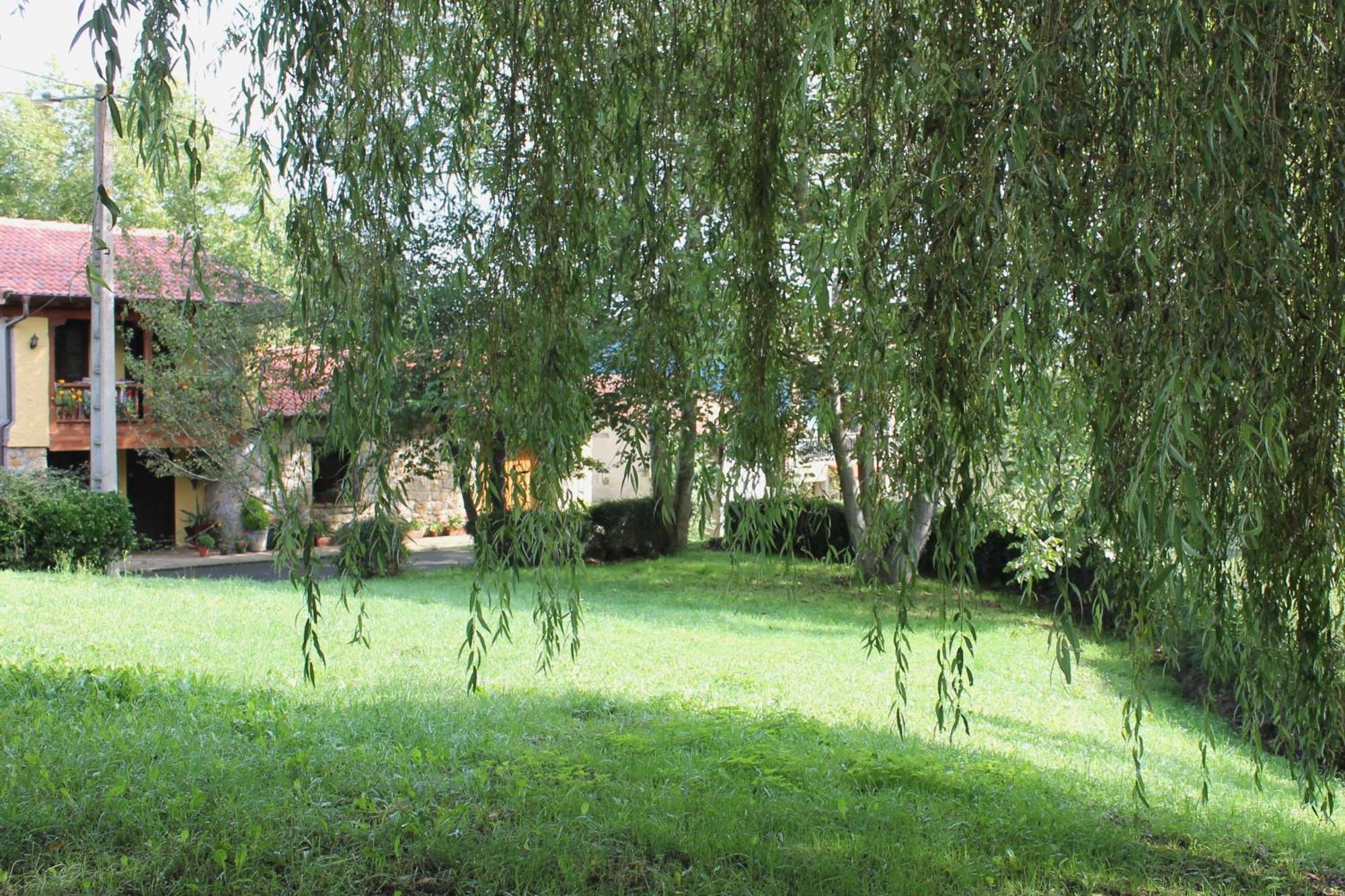 Casa De Aldea Monga 9 En Nava, Asturias Villa Eksteriør bilde